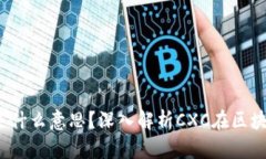 ziaoti区块链CXC是什么意思？深入解析