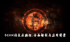 BCAM福鼠区块链：全面解析与应用前景