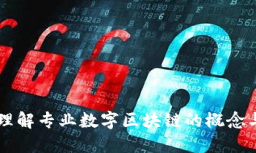 深入理解专业数字区块链的概念与应用