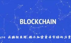  lasciare 区块链巨鲸：揭示加密货币市