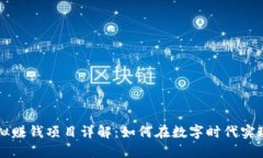 区块链虚拟赚钱项目详解：如何在数字