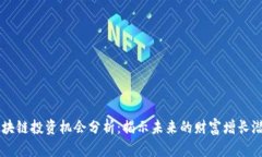 区块链投资机会分析：揭示未来的财富