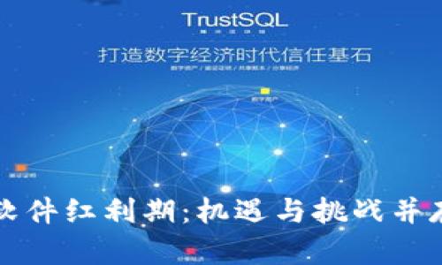 区块链软件红利期:机遇与挑战并存的时代