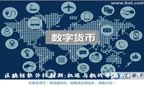 区块链软件红利期:机遇与挑战并存的时代