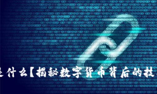 区块链是什么?揭秘数字货币背后的技术与应用