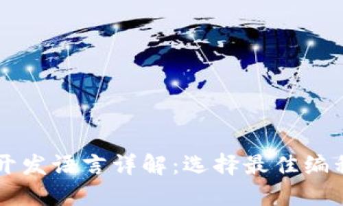 区块链技术开发语言详解:选择最佳编程语言的指南