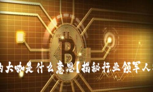 区块链里的大咖是什么意思?揭秘行业领军人物与影响力