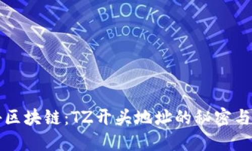 探秘区块链:TZ开头地址的秘密与应用