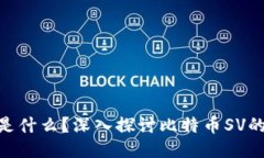 BSV区块链是什么？深入探讨比特币SV的