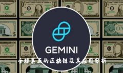 全球真正的区块链及其应用分析