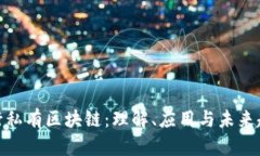 银行私有区块链：理解、应用与未来趋