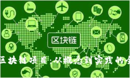揭秘新区块链项目:从概念到实践的全面解析