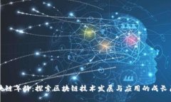 区块链年龄：探索区块链技术发展与应