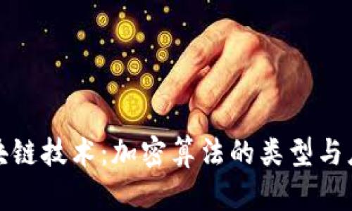 探索区块链技术:加密算法的类型与应用解析