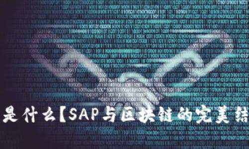 区块链是什么?SAP与区块链的完美结合探讨