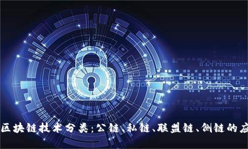 深入解析区块链技术分类：公链、私链、联盟链、侧链的应用与区别