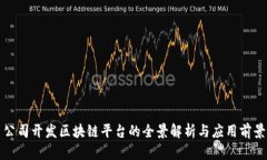 公司开发区块链平台的全景解析与应用
