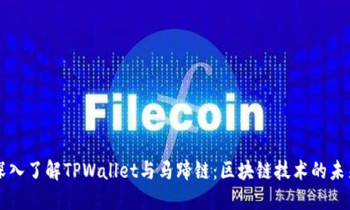 深入了解TPWallet与马蹄链:区块链技术的未来
