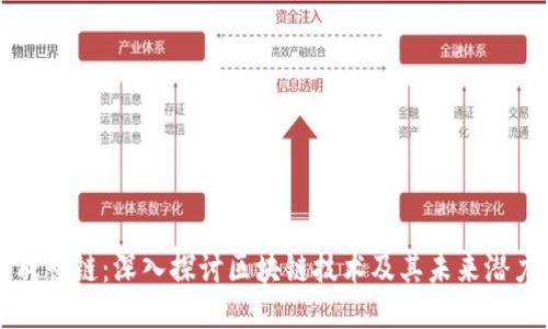 成长链:深入探讨区块链技术及其未来潜力
