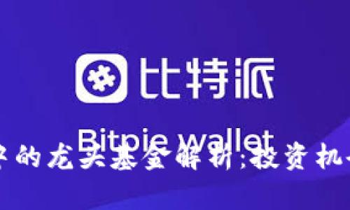区块链行业中的龙头基金解析:投资机会与风险分析
