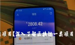 什么是区块链项目？深入了解区块链一
