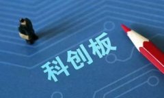 bianoti如何使用TPWallet观察别人，获取实时数据与