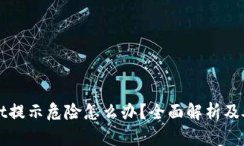 TPWallet提示危险怎么办?全面解析及处理指南