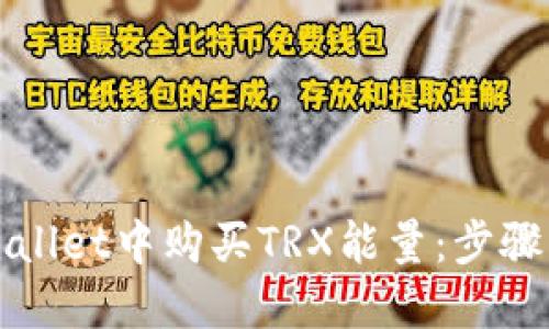 如何在TPWallet中购买TRX能量：步骤与技巧详解