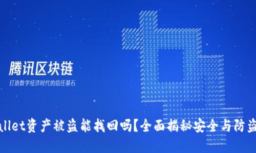 TPWallet资产被盗能找回吗？全面揭秘安全与防盗策略