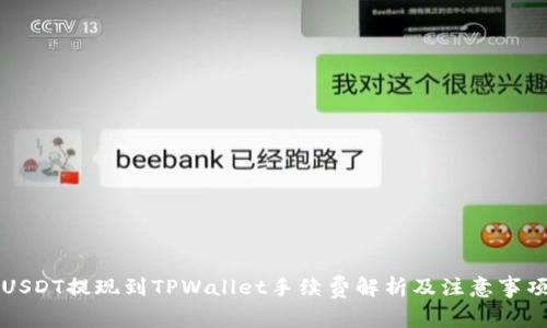 USDT提现到TPWallet手续费解析及注意事项
