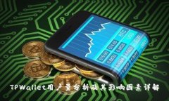 TPWallet用户量分析及其影响因素详解