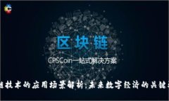 区块链技术的应用场景解析：未来数字经济的关