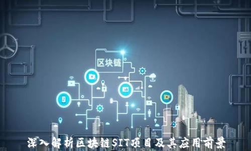 
深入解析区块链SIT项目及其应用前景