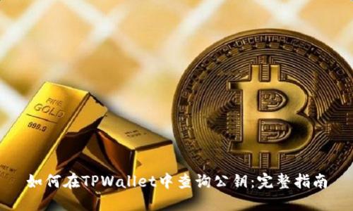 如何在TPWallet中查询公钥：完整指南