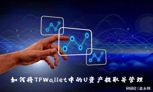 如何将TPWallet中的U资产提取并管理